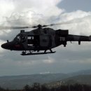 LYNX