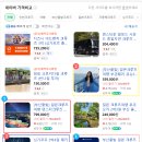 여행 일본어(특별) | 부모님 모시고 MSC 일본 크루즈 다녀온 현실 후기(부산출발)