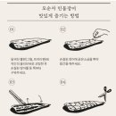 모순자민물장어 이미지