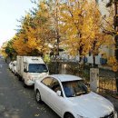 오정구 원종로 7 이미지