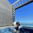 제주도 여행2🏝️