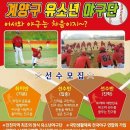크린토피아계양 네이버블로그