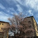 둔촌대로63번길 이미지