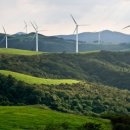 그린발전소 이미지