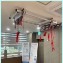 프로정형외과의원 네이버블로그