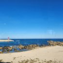 자두미미하우스 이미지