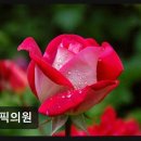 델픽의원