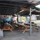 열매와뿌리