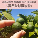 왕성길농장 네이버블로그