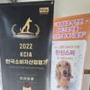 네임드 살롱 네이버블로그