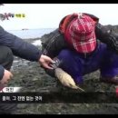 신영수산 - 양천구 곰달래로13길 43 | 신영수산