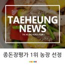 태흥종축영농조합법인 | 한종협(한국종축개량협회)이 인증한 종돈장평가 1위 농장 태흥종축(해남)