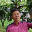 금배농장 이미지