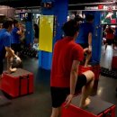 역동복싱 이미지