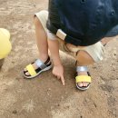 벨진밧