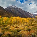 행복그자리 이미지