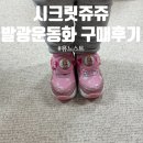 쥬쥬 | [내돈내산] 포기못해! 시크릿쥬쥬 발광운동화구매후기