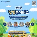 힐링투어 티스토리