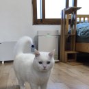 비밀