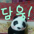 판다미