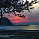 퐁당퐁당 이미지