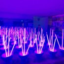 광복로 78-1 앞 이미지