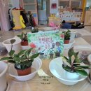 오천 초등학교 병설 유치원 이미지