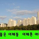 여주-0491 네이버블로그