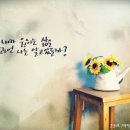 감성 글씨 캘리그라피 이미지