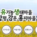 홍지마을 이미지