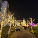 디톡스 | 가평 수영장 독채펜션/무아레478 디톡스/움직이는 레스토랑 청평스카이타워