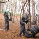 정무태권도체육관 이미지