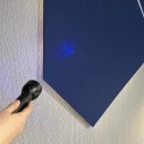 내가그린사과그림체험행사 | [성수나들이]주토피아2, 케이팝데몬헌터스오피셜 팝업, 천사vs악마 가나디 팝업, 빤쮸토끼 팝업, 산리오...