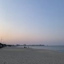 갈매기다방