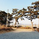 송림민박 이미지