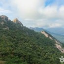 신선대 중턱 티스토리