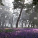 경주시립도서관 화장실 이미지