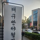 청주 동남지구 대구반야월막창 방문 후기/ 막창 돼지껍데기 맛집