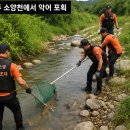 천서농장 네이버블로그