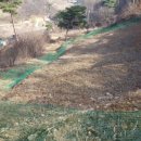 민지네농장 이미지