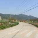 부석사 입구 이미지