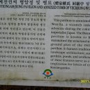 매니저양념통닭 이미지