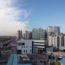 망포로 네이버블로그