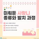 연세마이덴치과의원 | 매복 사랑니는 꼭 뽑아야 할까요? 종류부터 발치 과정, 회복까지 총정리
