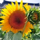 반월마을회관 이미지