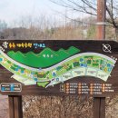매봉공원 농구장