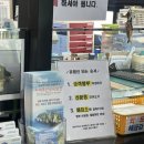 [거제 가볼만한곳] 지세포 관광유람선 후기 / 외도 보타니아 추천글