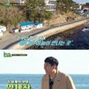 바다의왕자민박 이미지