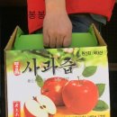 순희네농장 이미지