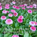 물덴동산 이미지